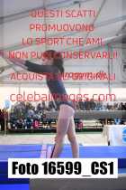 16599_CS1-