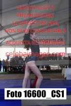 16600_CS1-