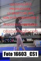 16603_CS1-