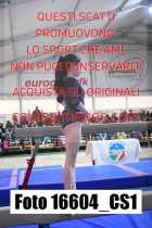 16604_CS1-