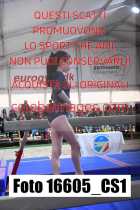 16605_CS1-
