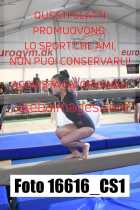 16616_CS1-