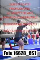 16628_CS1-