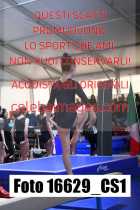 16629_CS1-