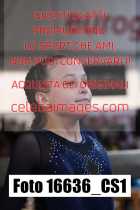16636_CS1-