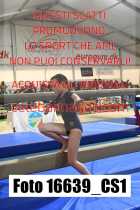 16639_CS1-