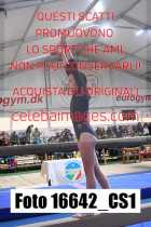 16642_CS1-
