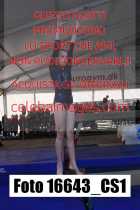 16643_CS1-