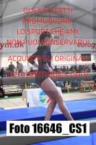 16646_CS1-