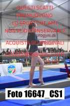 16647_CS1-