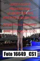 16649_CS1-