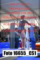 16655_CS1-