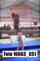 16663_CS1-