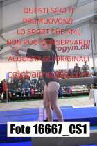 16667_CS1-