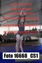 16668_CS1-