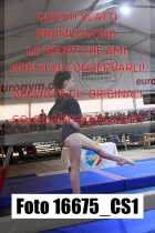 16675_CS1-