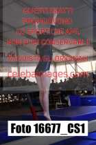16677_CS1-