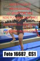 16687_CS1-
