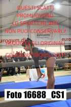 16688_CS1-