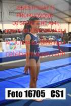 16705_CS1-
