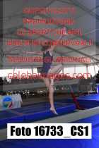 16733_CS1-