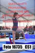 16735_CS1-