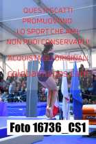 16736_CS1-