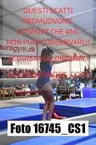 16745_CS1-