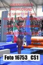 16753_CS1-