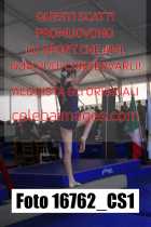 16762_CS1-