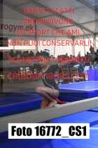16772_CS1-
