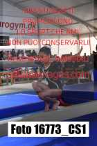 16773_CS1-