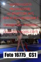 16775_CS1-