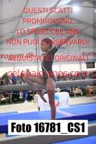 16781_CS1-