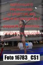16783_CS1-