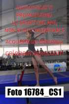 16784_CS1-