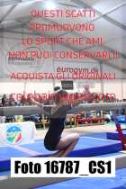 16787_CS1-