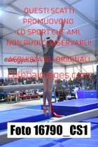 16790_CS1-