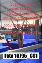 16795_CS1-