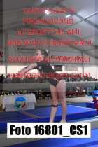 16801_CS1-