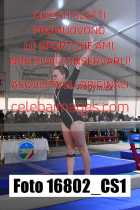 16802_CS1-