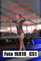 16819_CS1-