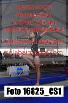 16825_CS1-