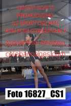 16827_CS1-