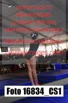 16834_CS1-