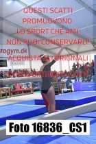 16836_CS1-