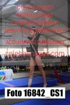 16842_CS1-
