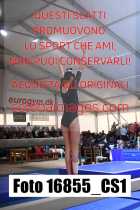 16855_CS1-