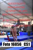 16856_CS1-