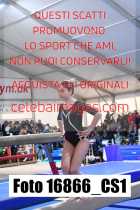 16866_CS1-